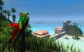 One of the "Vista birds" hidden on the island