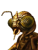 Doff Unique Sf Xindi Insectoid M 04 icon.png