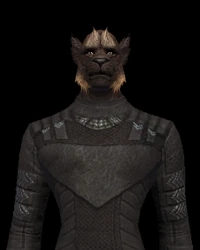 Ferasan Male 04