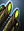 Phasic Harmonic Dual Heavy Cannons icon