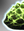 Polytrinic Acid Horta icon