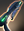 Romulan Plasma Sniper Rifle icon