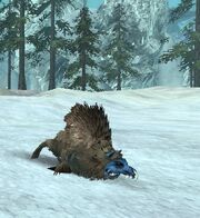 A Snow Possum in Q's Winter Wonderland.