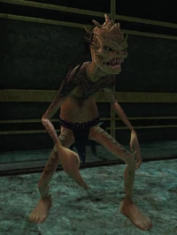 Fek'Ihri Hordling