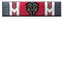 Reptilian Raider icon.png