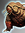 Combat Trained Tardigrade icon.png