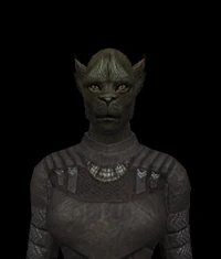 Ferasan Female 01