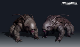 Tardigrade Official Star Trek Online Wiki