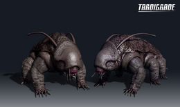 Tardigrade