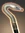 Ophidian Cane icon