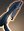 Romulan Disruptor Split Beam Rifle icon.png