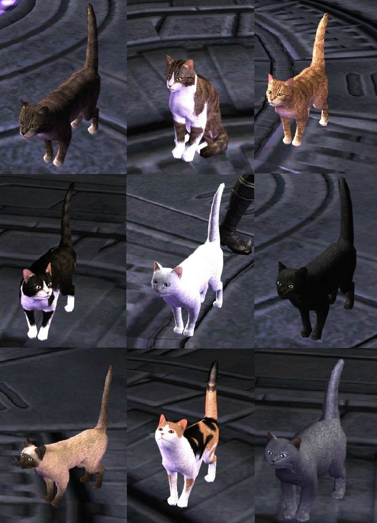 star trek online pets