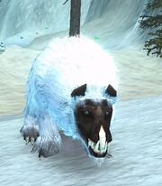 A Snow Mastiff in Q's Winter Wonderland.