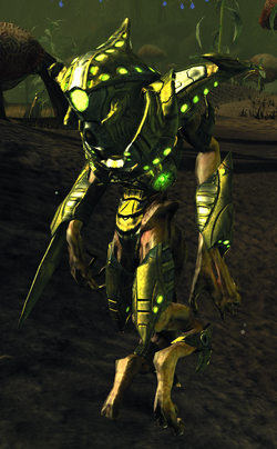 An Undine Unit Commander