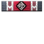 Preemptive Strike icon.png