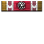 Member of the Pack icon.png
