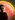 Nukara Strikeforce Elite Personal Shield Matrix icon