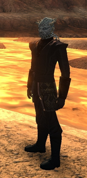 Jem'Hadar Elder