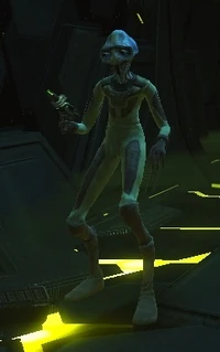 Elachi Grunt