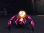 Talarian hook spider 2