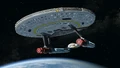 California Miracle Worker Utility Cruiser