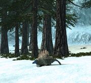 Snow Possum environment