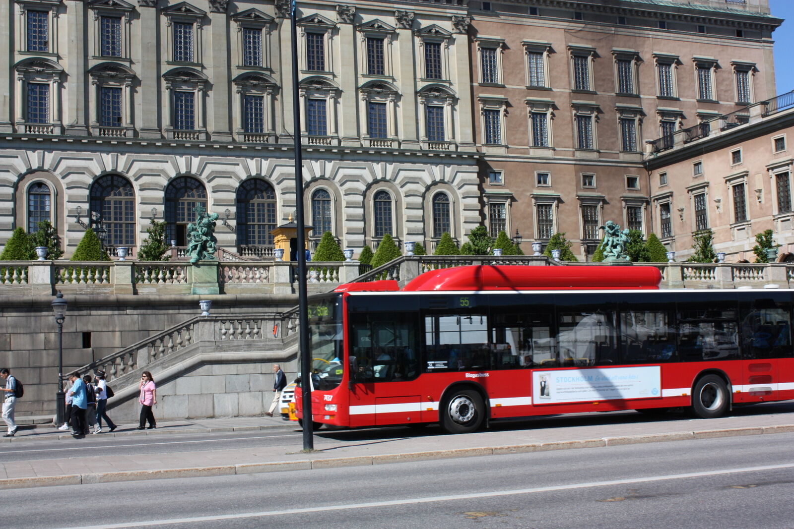 IMG 7243.jpg