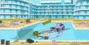 Is that a Jeep in the pool?