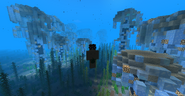 A custom marine biome with stone/coral structures and ice.