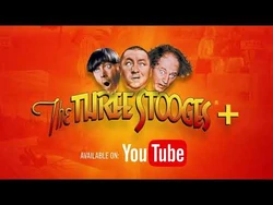 The Three Stooges+ | Stooges Wiki | Fandom
