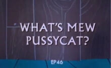 Whatsmewpussycattitlecard.jpeg