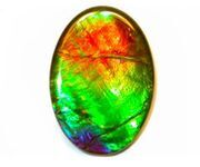 RealAmmolite.jpg