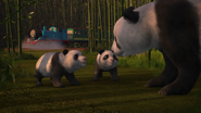 ThomasandtheGiantPandas5