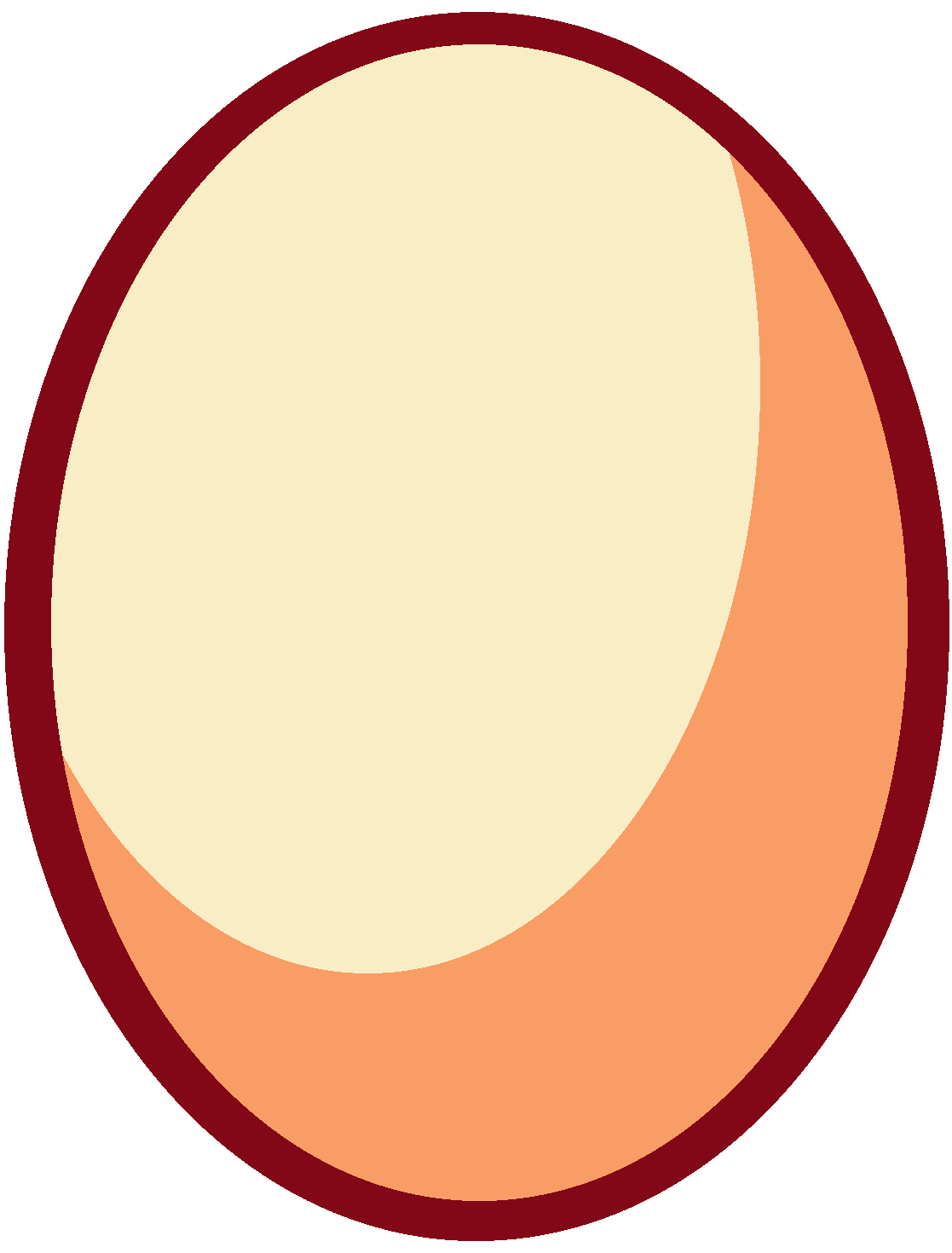 Sardonyx gemstone shop