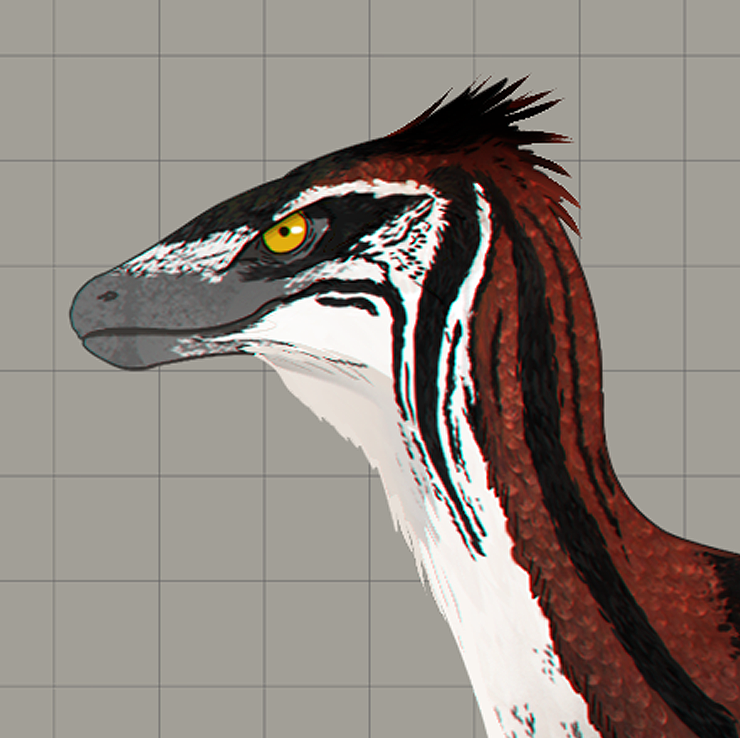 What makes a raptor - Part 2, sharp talons