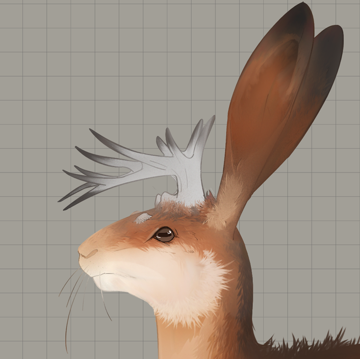 Lop-eared rabbit, Avatar Wiki, Fandom