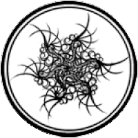 Pattern Stormlight Archive Wiki Fandom With the exception of shinovar, where there are no spren, they have a common presence all over roshar and tend to be ignored, or remain unseen. pattern stormlight archive wiki fandom