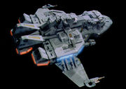 Maquis raider