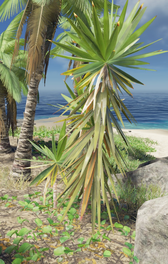 palm frond stranded deep