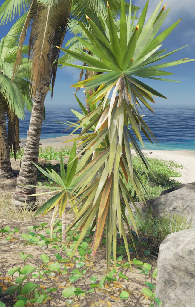 stranded deep fibrous leaves