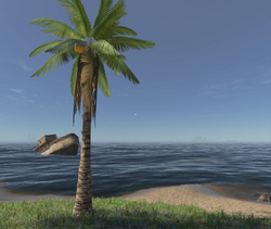 Machete, Stranded Deep Wiki