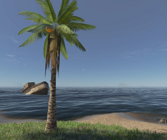 Tall Palm Tree.png