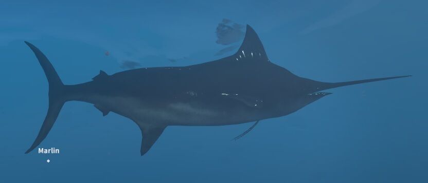 Rawhide, Stranded Deep Wiki