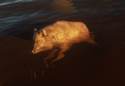 Transporting Hogs to My Home Island : r/strandeddeep