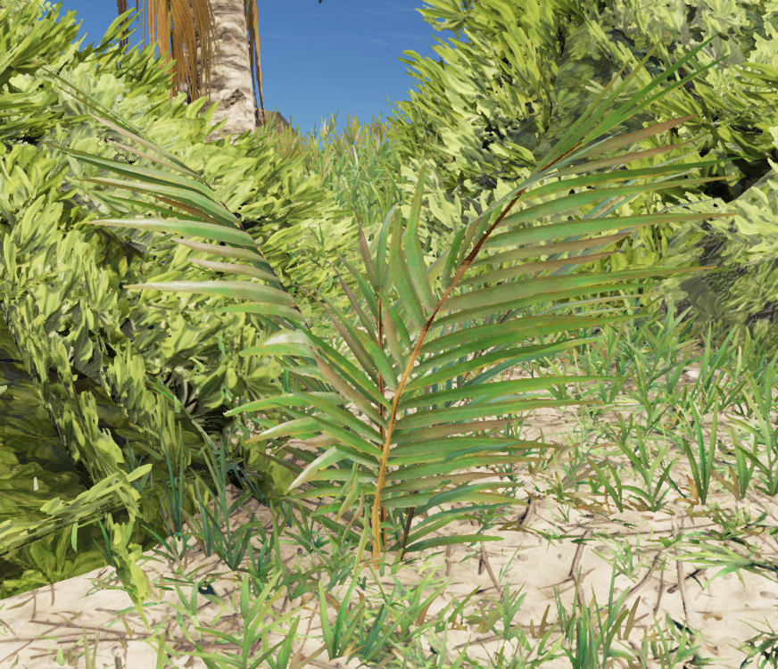 palm frond stranded deep