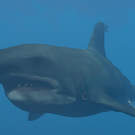 where to find whale sharks in stranded deep｜TikTok Search