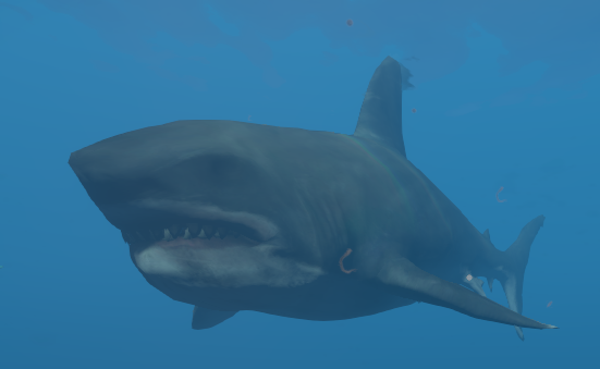 Killed My First Shark!! : r/strandeddeep