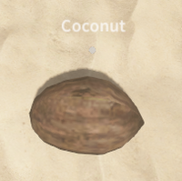 Noix de coco