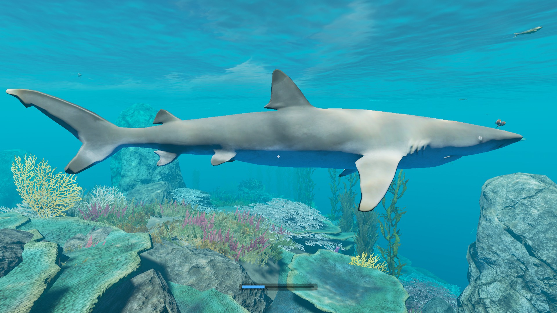 Shark, Stranded Deep Wiki