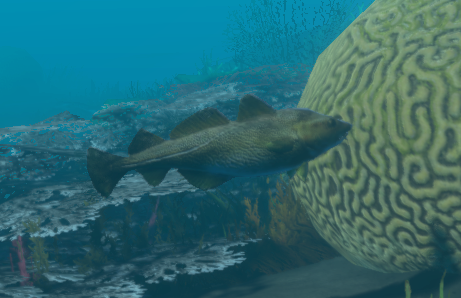 Stranded Deep  Quwawa Seared Grouper - The Gluttonous Geek